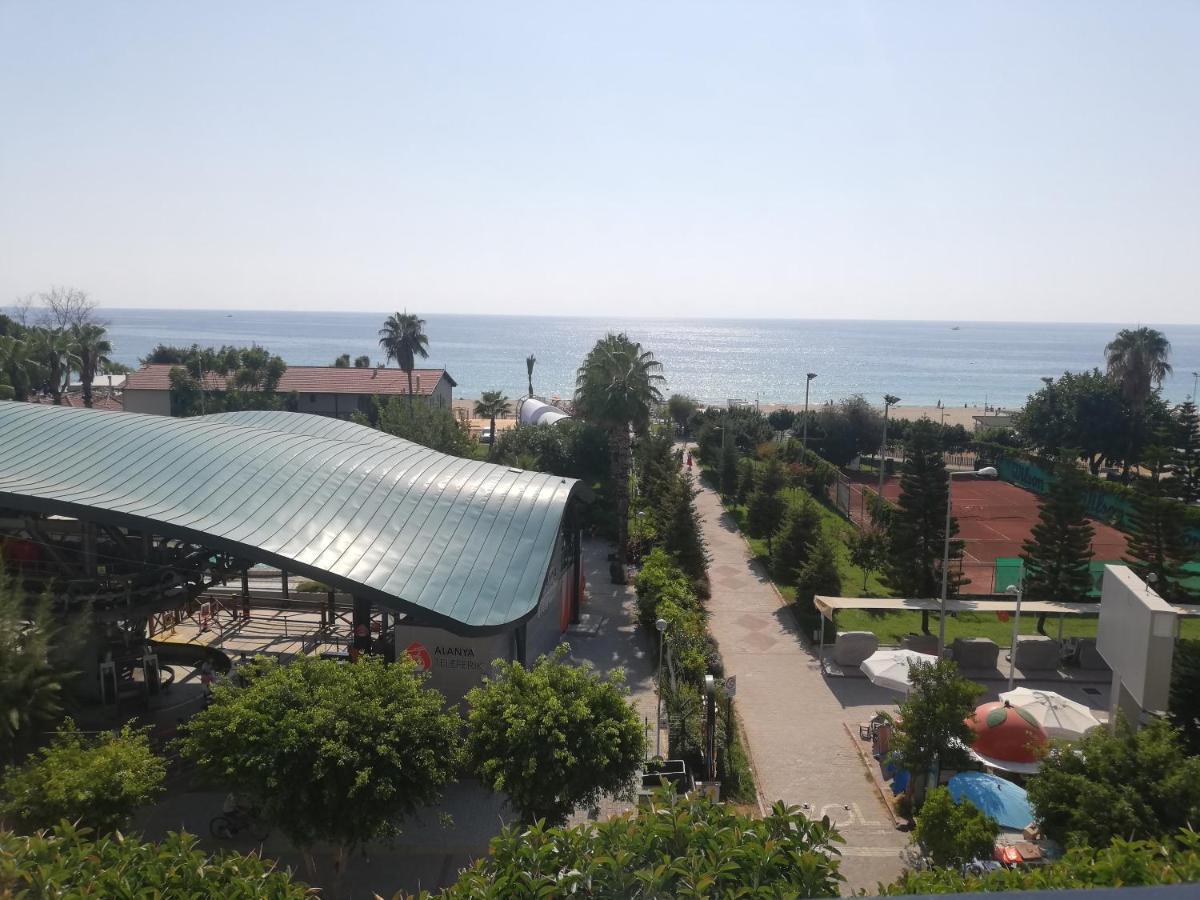 Havana Apart Hotel 阿拉尼亚 外观 照片